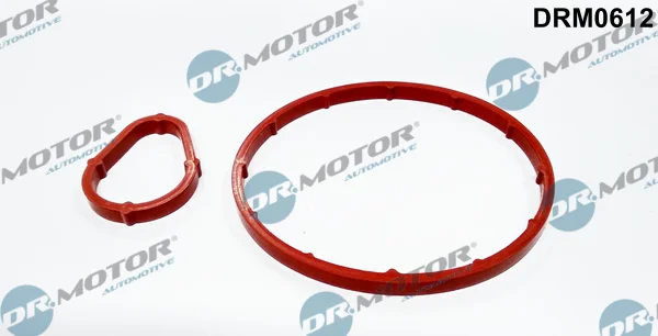 Těsnění, vakuové čerpadlo Dr.Motor Automotive DRM0612 Těsnění, vakuové čerpadlo Dr.Motor Automotive DRM0612