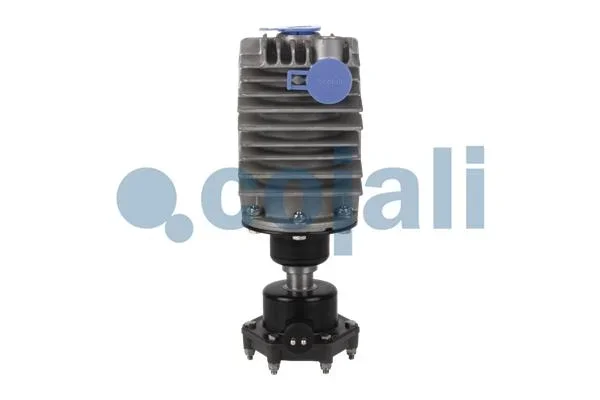 Čištění stlačeným vzduchem COJALI 2480004 – OE 1319154