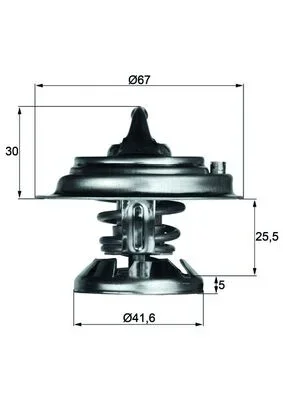 Termostat, chladivo MAHLE TX2980D