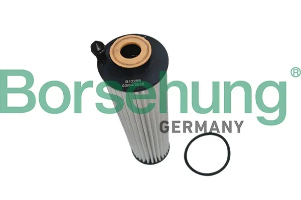 Olejový filtr Borsehung B12289