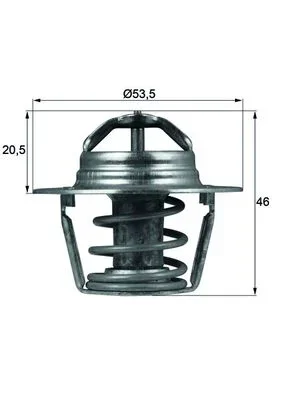 Termostat, chladivo MAHLE TX9189D