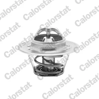 Termostat, chladivo CALORSTAT by Vernet TH5962.82J