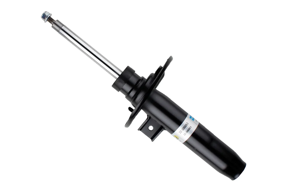 Tlumič pérování BILSTEIN 22-305053